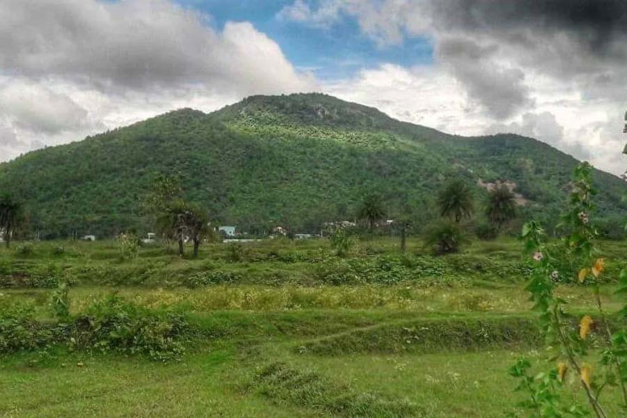 ঘন সবুজে ঢাকা বড়দি পাহাড়ে চলুন বর্ষায়।