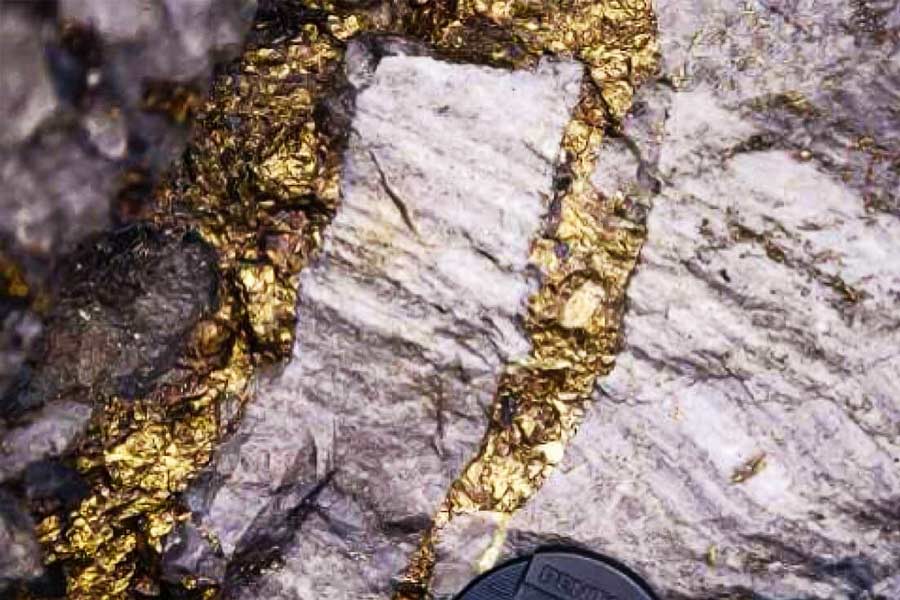 কোলারের ঘরে ঘরে এখন ক্যানসারের রোগী। এককালে খনির বিষাক্ত পরিবেশে সায়ানাইডের মতো ভয়ঙ্কর রাসায়নিক নিয়ে কাজ করেছেন সোনার খনির মজুরেরা। এই রোগ তারই দাম। তার পরও চিকিৎসার সুযোগ নেই। কারণ হাসপাতালই আর নেই কোলার শহরে। ১০০ কিলোমিটার দূরে বেঙ্গালুরুতে আছে। কিন্তু সেখানে গিয়ে চিকিৎসা করানোর টাকা কোথায়? সোনার খনির মজুর হয়েও আজ হাতে কানাকড়ি নেই কেজিএফের শ্রমিকদের।