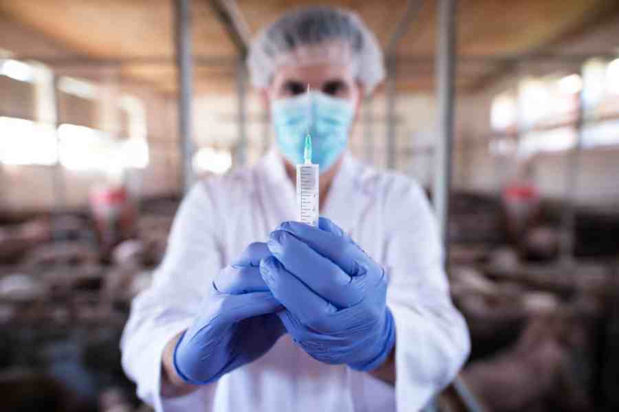 Finland to start bird flu vaccinations for high-risk workers