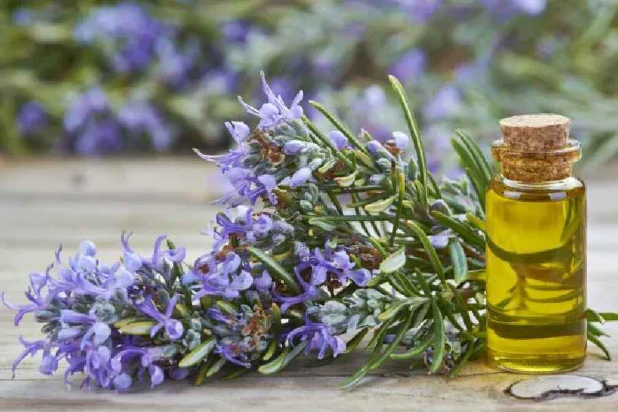 Use these oils to fight with wrinkles