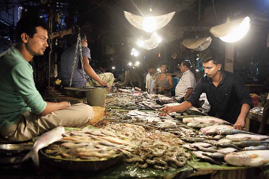 How to choose fresh Fish from market 