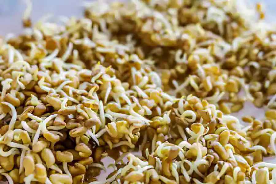Three best ways to eat fenugreek seeds for weight loss