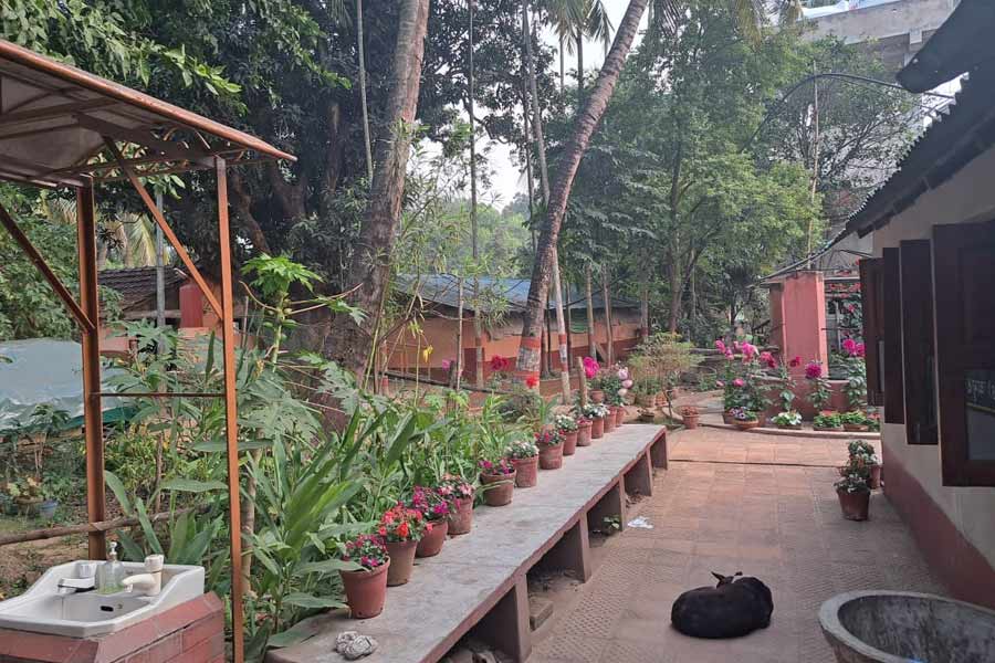 Banalakshmi and Barishaler Rannaghor, the story of a mother-in-law and her daughter-in-law