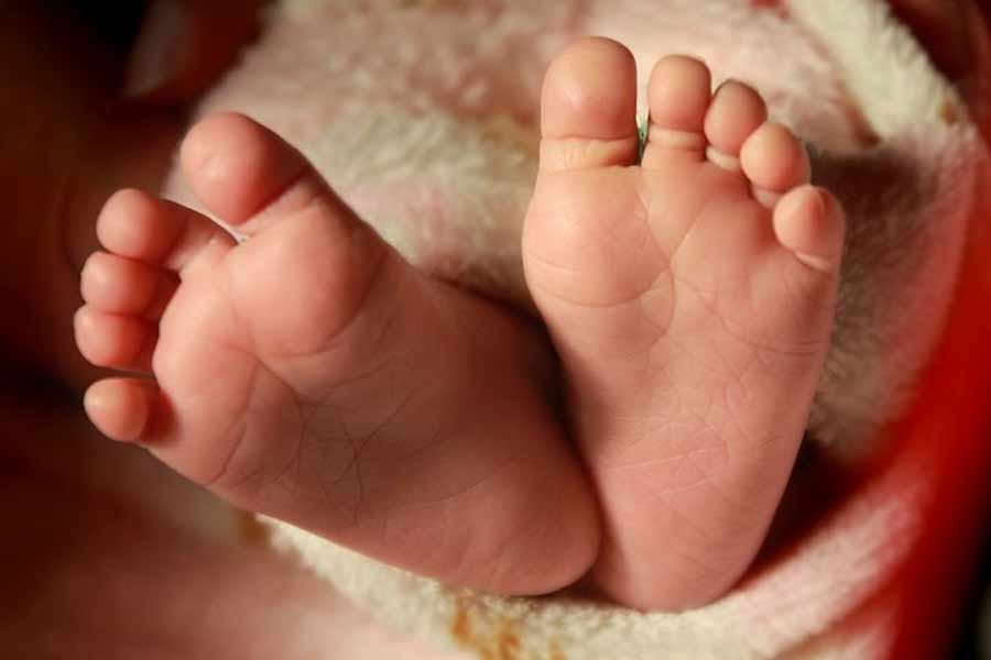 Newborn thrown over wall and pierced by spiked fence in Haryana