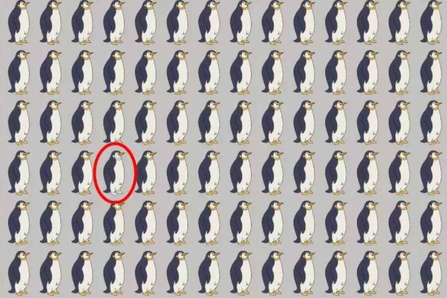 সমাধান। 