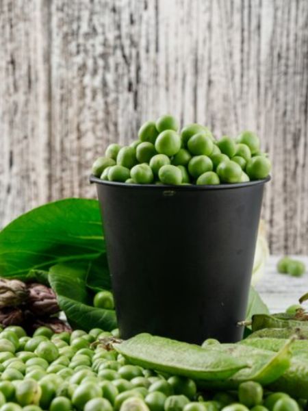 All you need to know the best ways to store peas in fridge for a year dgtl