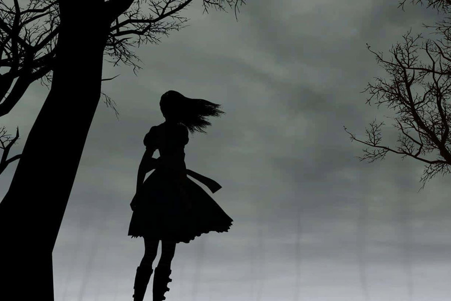 Pakistan’s PIA crew members are disappearing in Canada