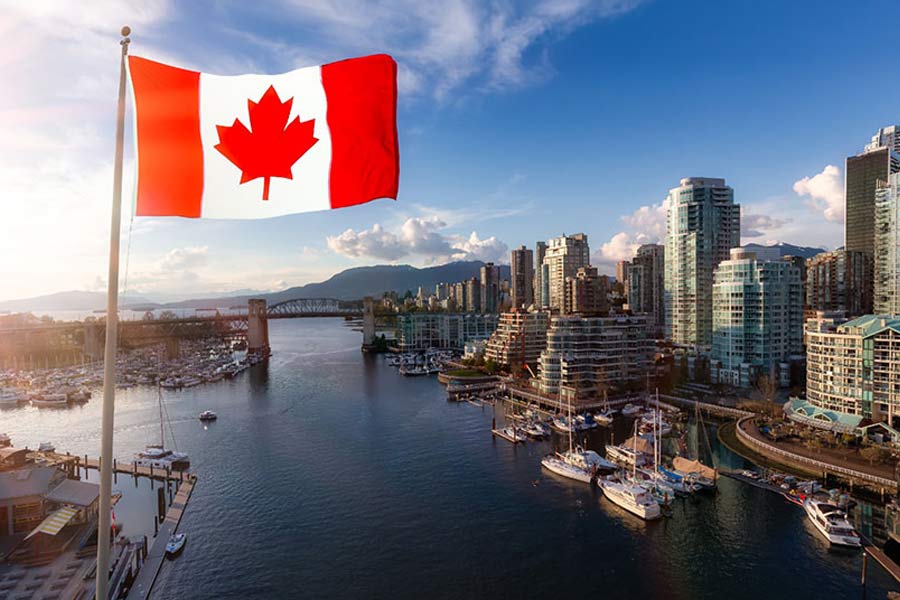 Pakistan’s PIA crew members are disappearing in Canada