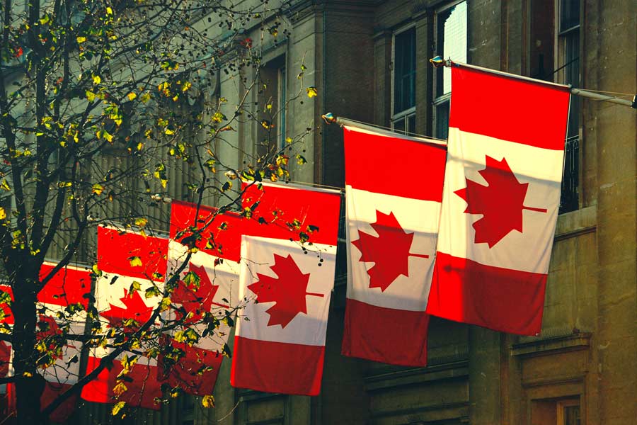 Pakistan’s PIA crew members are disappearing in Canada