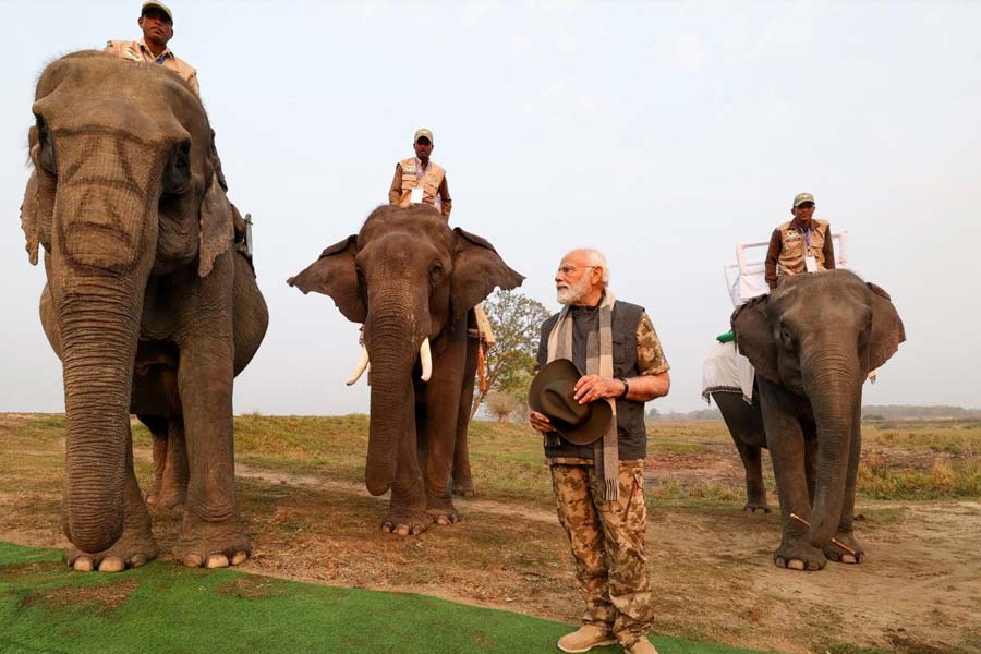 Pictures of PM Narendra Modi at Kaziranga National Park