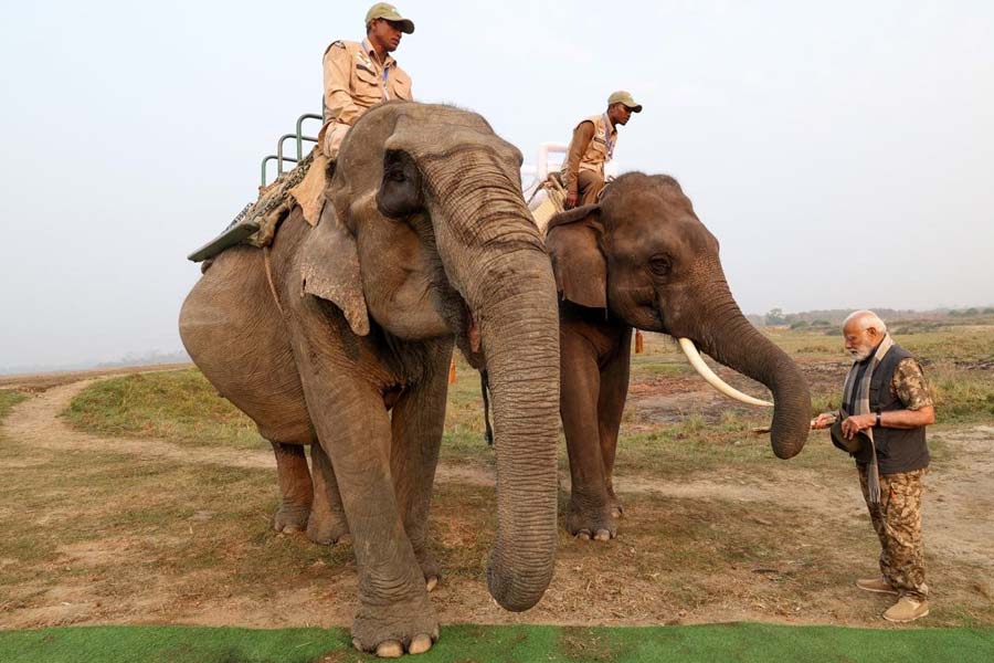 Pictures of PM Narendra Modi at Kaziranga National Park