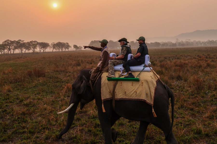 Pictures of PM Narendra Modi at Kaziranga National Park