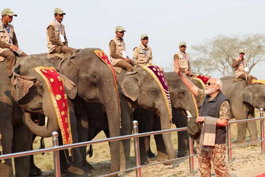 Pictures of PM Narendra Modi at Kaziranga National Park