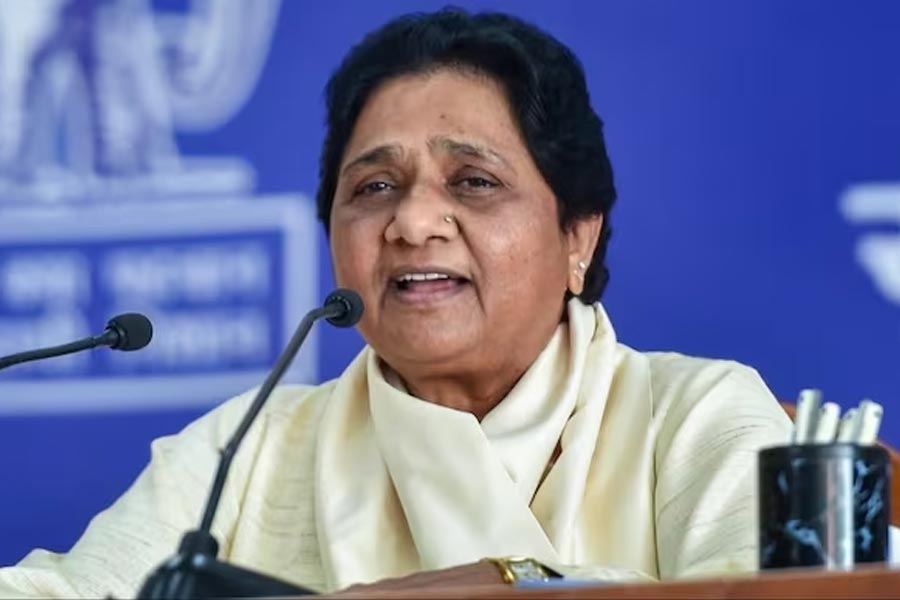 Mayawati Sought on going solo in Lok Sabha Election 2024