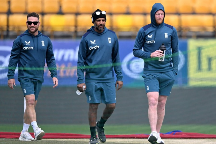 picture of Cricket