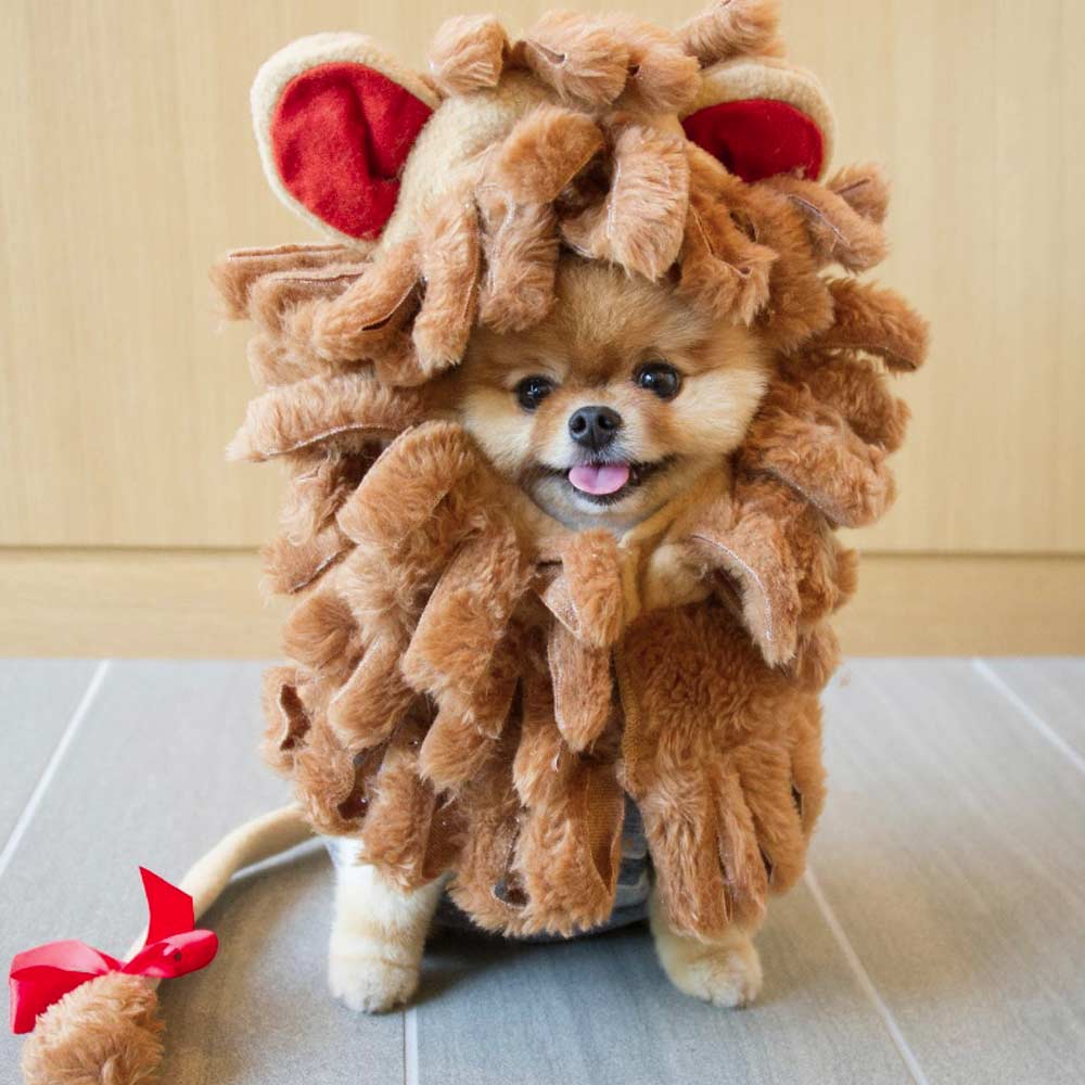 Jiffpom