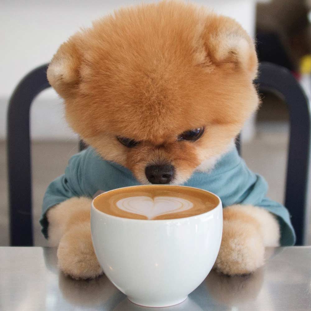 Jiffpom and Mark Zuckerburg