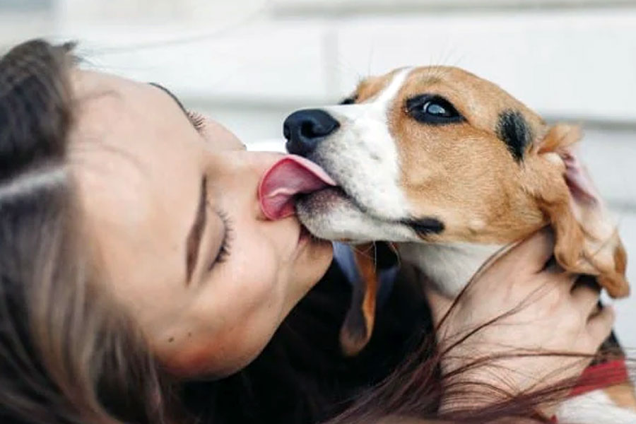 Dogs Licking Owners Face is not Just Unhealthy But Can Even Be Fatal