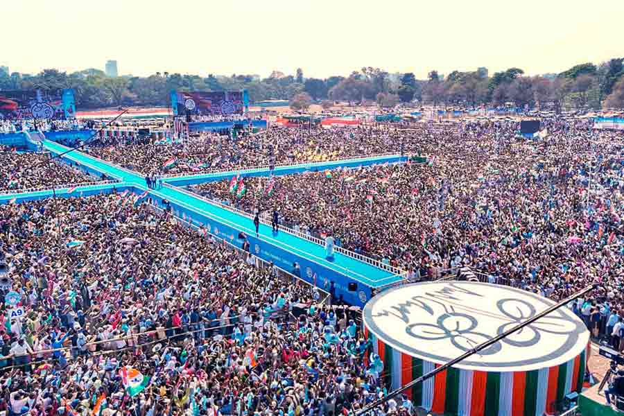 রবিবার এই ৪২ জনের প্রার্থিতালিকা ঘোষণা করেছেন অভিষেক। সাত জন বিদায়ী সাংসদকে এ বার টিকিট দেওয়া হয়নি। অন্য দিকে, নতুন মুখের পাশাপাশি টিকিট পেয়েছেন অনেক বিধায়কও। ১২ জন মহিলা প্রার্থী হয়েছেন।