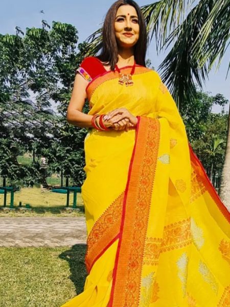 Beautiful saree collection of actress Rachna Banerjee dgtl