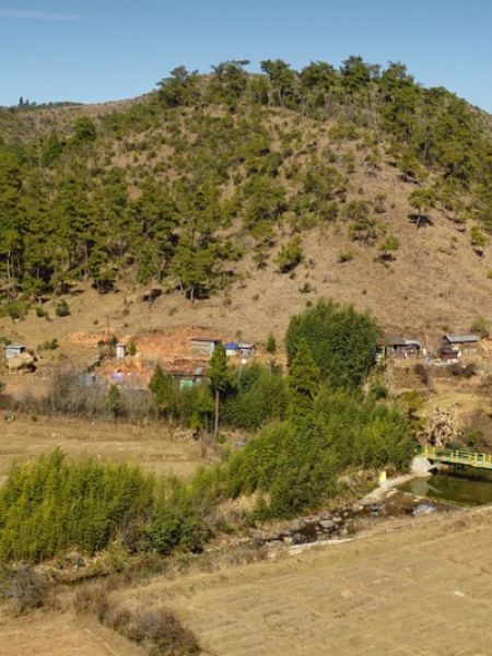 people call people not by name but by blowing different types of whistles in This Village dgtl