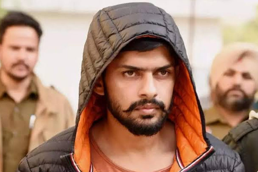 শোনা যায়, সন্দীপ এবং অনুরাধার বিয়ের সমস্ত বন্দোবস্ত করেছেন গ্যাংস্টার লরেন্স বিষ্ণোই। তবে সেই তথ্য কতটা সত্য, তা নিয়ে চিন্তার অবকাশ রয়েছে।