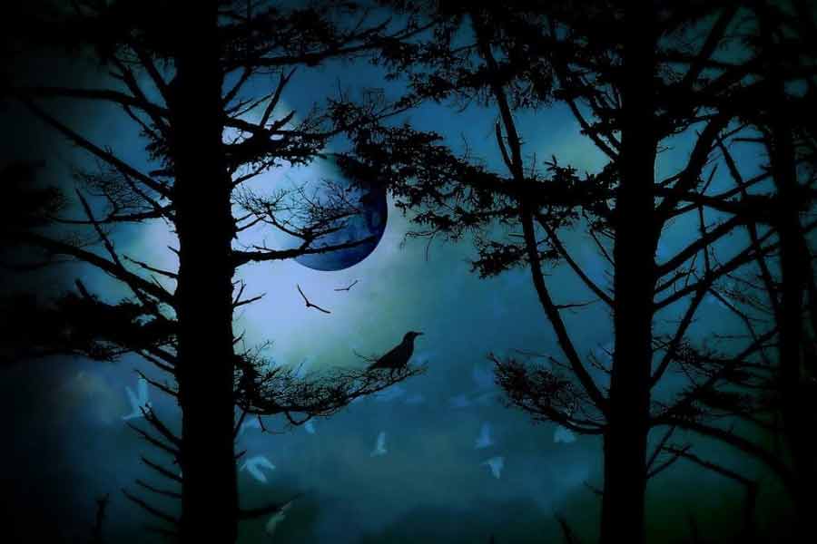 The haunted stories of the Khooni Darwaza of Delhi