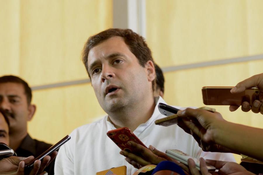 image of rahul gandhi 