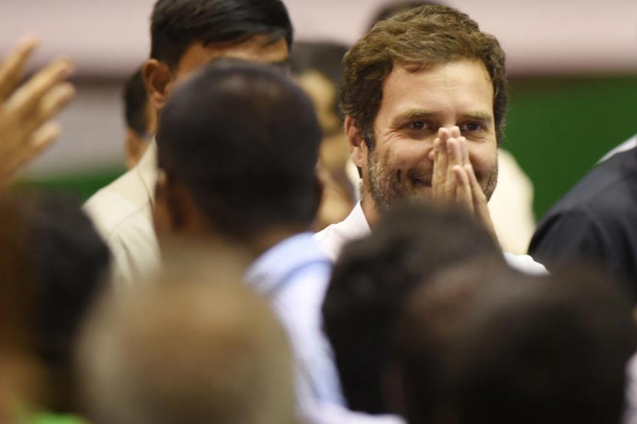 image of rahul gandhi 