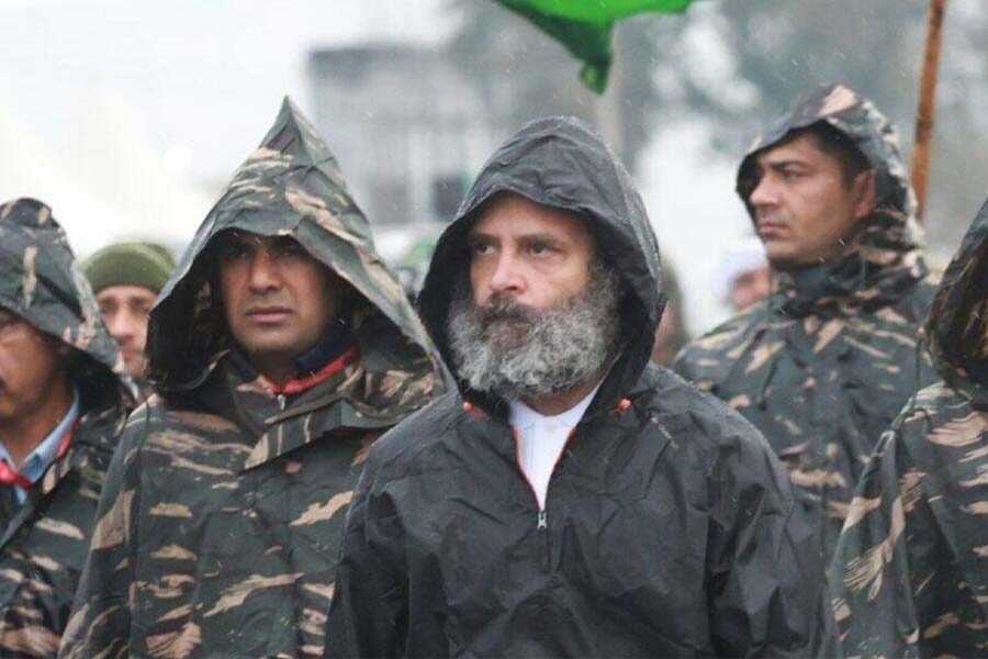 image of rahul gandhi 