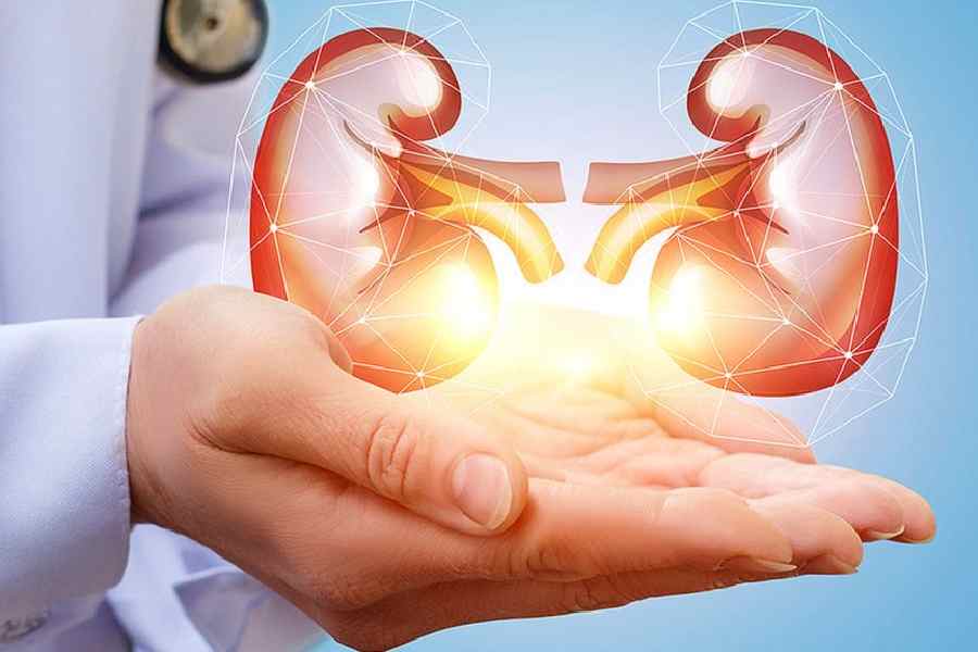 Five common habits which may harm your kidneys