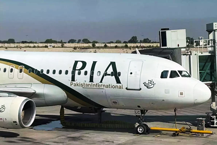 image of pia