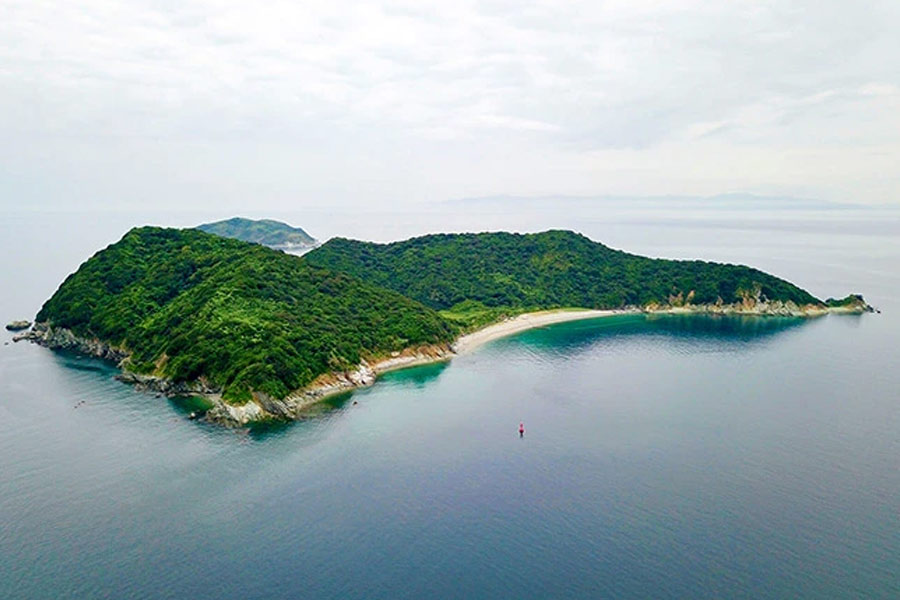 দ্বীপের প্রায় ৯০ শতাংশ ঘন ম্যানগ্রোভ জঙ্গলে ঢাকা। বিশেষ ধরনের বনবিড়াল এবং বিষধর সাপের জন্য বিখ্যাত দ্বীপটির অবস্থান জনবসতিপূর্ণ এলাকা থেকে রয়েছে অনেকটা দূরে। এই দ্বীপের সঙ্গে রয়েছে দ্বিতীয় বিশ্বযুদ্ধের যোগও।