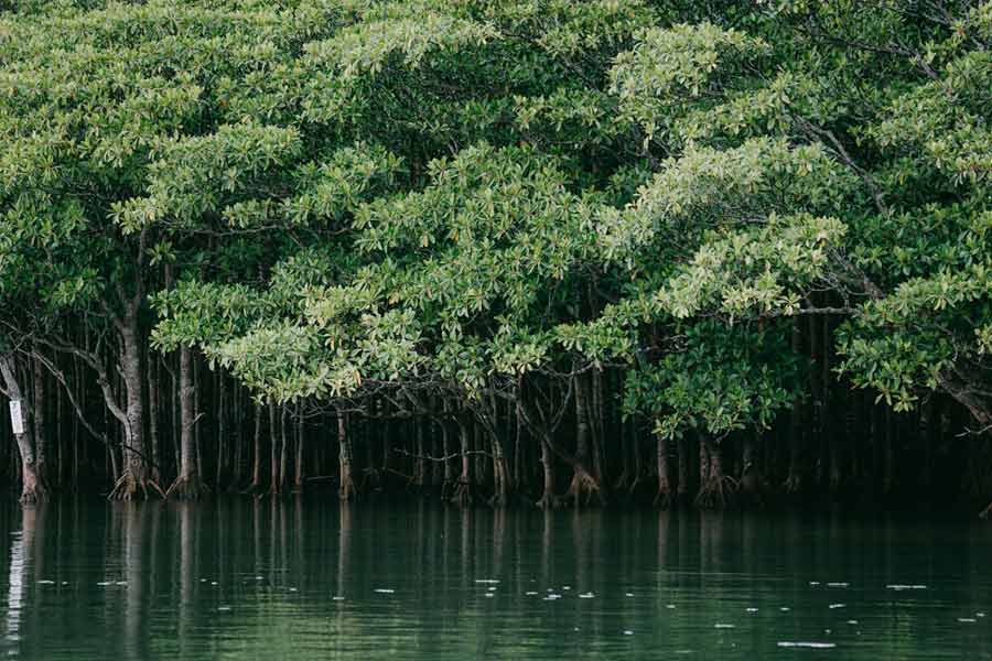 জাপানের ইয়ায়েইয়ামা দ্বীপপুঞ্জের মধ্যে সর্ববৃহৎ হল ইরিয়োমোতে দ্বীপ। জাপানের টাকেতোমি শহরের অন্তর্গত এই দ্বীপ। প্রায় ২৮৯ বর্গকিলোমিটার এলাকার এই দ্বীপের জনসংখ্যা বেশ কম। ২০০৫ সালের রিপোর্ট অনুযায়ী, ইরিয়োমোতে দ্বীপে ২৩৪৭ জন বাস করতেন।