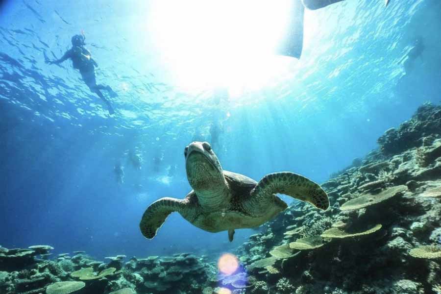 ১৯৯৫ সালে আমেরিকার ডুবুরিরা ‘স্করপিও’ নামে একটি বিশেষ সমুদ্রযানের মাধ্যমে সন্ধান চালান। ‘সোনার ইমেজে’ একটি বিশালাকার ধাতব বস্তুর অবয়বও ধরা পড়ে।