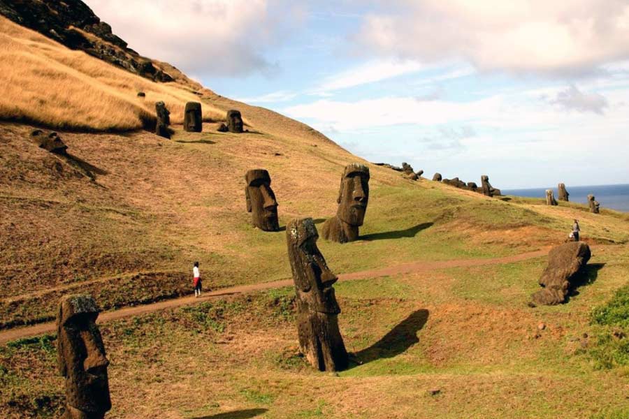 পাথরের মূর্তিগুলি ‘মোয়াই’ নামে অধিক পরিচিত। প্রতিটি মূর্তির ওজন বোয়িং ৭৩৭ বিমানের ওজনের চেয়েও বেশি। বিশাল এই মূর্তিগুলি উপকূলবর্তী এলাকায় নিয়ে যাওয়া হল কী করে?