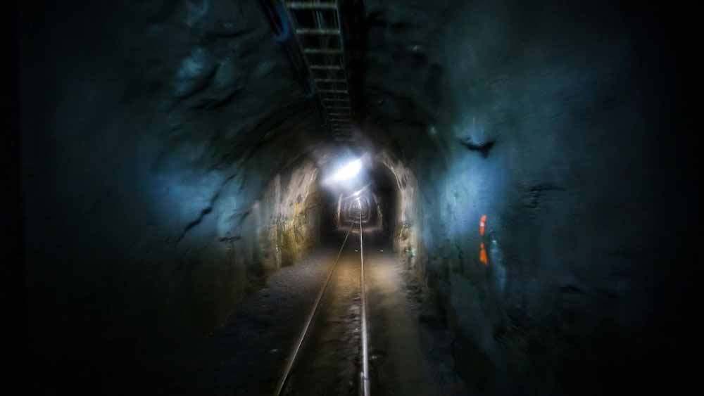 সুড়ঙ্গ তৈরির জন্য ব্রিটেন থেকে শিমলা চলে আসেন বারোগ। সঙ্গে ছিল তাঁর সর্ব ক্ষণের সঙ্গী, তাঁর পোষ্য কুকুর। বারোগ যেখানেই যেতেন, তাঁর সঙ্গে থাকত কুকুরটি।