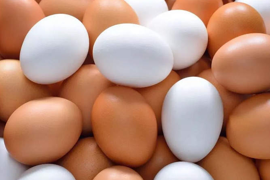 Difference between white and brown eggs dgtl