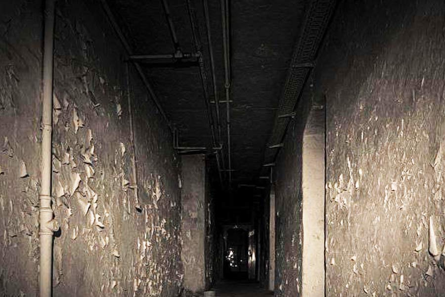 ভিক্টর এবং তাঁর স্ত্রী বাড়ি ফিরলে অলৌকিক ঘটনাটির উল্লেখ করেন তাঁদের পরিচারিকা। কিছু দিন পর সেই অট্টালিকা ছেড়ে চলে যান বেইলি দম্পতি।