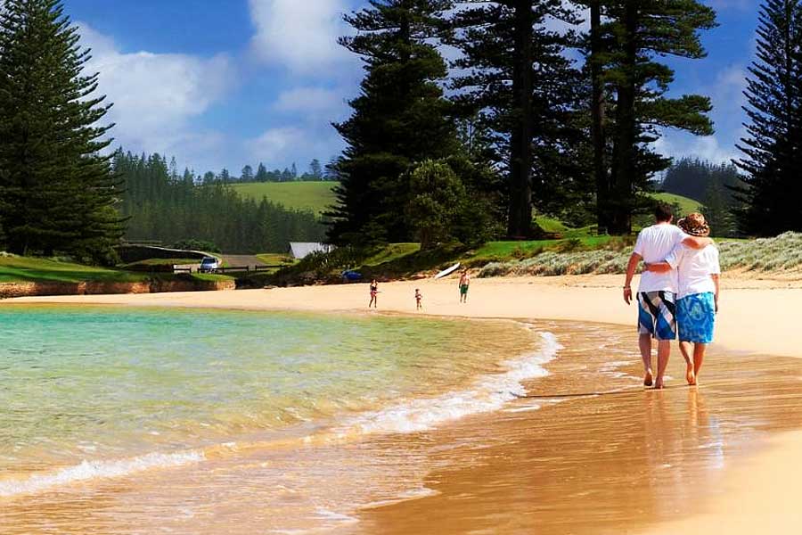 নরফ্লক দ্বীপটি প্রথম নজরে পড়ে জেমস কুকের। ১৭৭৪ সালে ১০ অক্টোবর প্রশান্ত মহাসাগরে দ্বিতীয় বার পাড়ি দিয়েছিলেন তিনি। তখন আবিষ্কার করেন এই দ্বীপ।