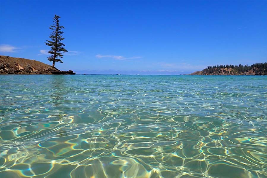 ১৮০৮ সাল পর্যন্ত নরফ্লক দ্বীপে মাত্র ২০০ জন বন্দি ছিলেন। তার পর ১৮১৪ সালের ফেব্রুয়ারি থেকে ১৮২৫ সালের জুন মাস পর্যন্ত তাঁদেরকেও সরিয়ে নেওয়া হয়। দ্বীপটি আবার জনবসতিশূন্য হয়ে পড়ে।