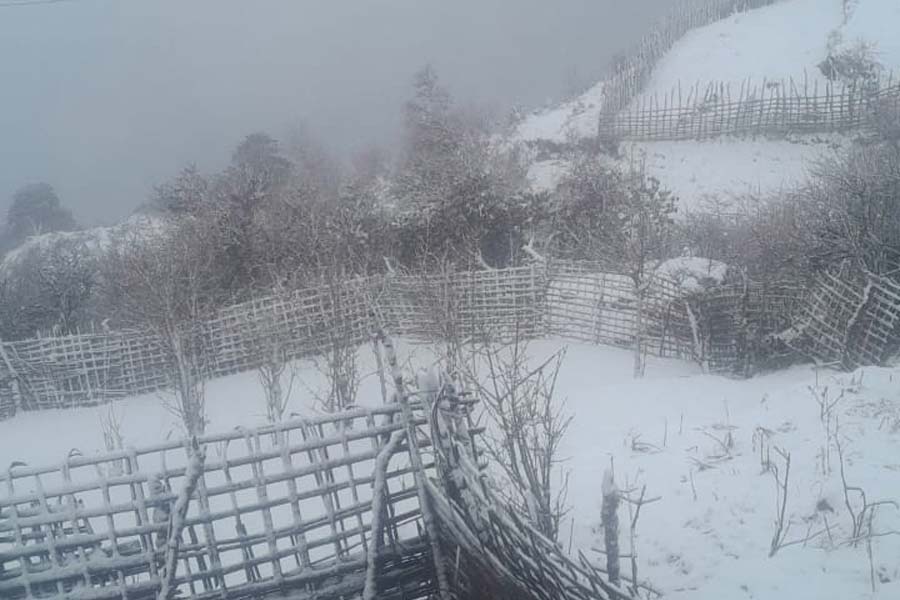 আবহাওয়া দফতর জানিয়েছিল, দার্জিলিং জেলার পাহাড়ের উঁচু এলাকায় হালকা থেকে মাঝারি তুষারপাত হতে পারে। সেই মতো, রাত থেকেই ঝোড়ো হাওয়া শুরু হয় পাহাড়ে। অনেকেই বলছেন, হাওয়ার দাপটে তাপমাত্রাও কমতে থাকে সান্দাকফুতে।