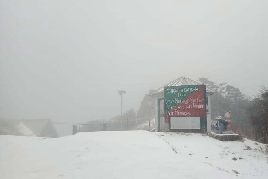 বেলা সাড়ে ১২টা নাগাদ দার্জিলিং রাজভবনের কাছে লাগানো থার্মোমিটার বলেছে ৩ ডিগ্রি সেলসিয়াস। আর বরফে ঢাকা সান্দাকফুতে এখনও তাপমাত্রা শূন্যের নীচে। সান্দাকফুতে লাগাতার তুষারপাত হয়েই চলেছে। থামার নাম নেই।