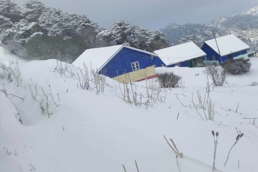 সিকিমের আবহাওয়া দফতরের ডিরেক্টর গোপীনাথ রাহা বলেন, ‘‘সান্দাকফুতে তুষারপাত এবং বৃষ্টিপাত আরও বেশ কয়েক দিন চলবে। বসন্তোৎসব পর্যন্তও হতে পারে তুষারপাত।’’ আর আবহাওয়ার পূর্বাভাস দেখে মুখের হাসি বন্ধই হচ্ছে না পর্যটকদের।