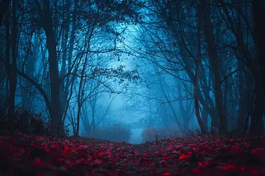 All you need to know about the ghost house of Dukhani, haunted place in Shimla 