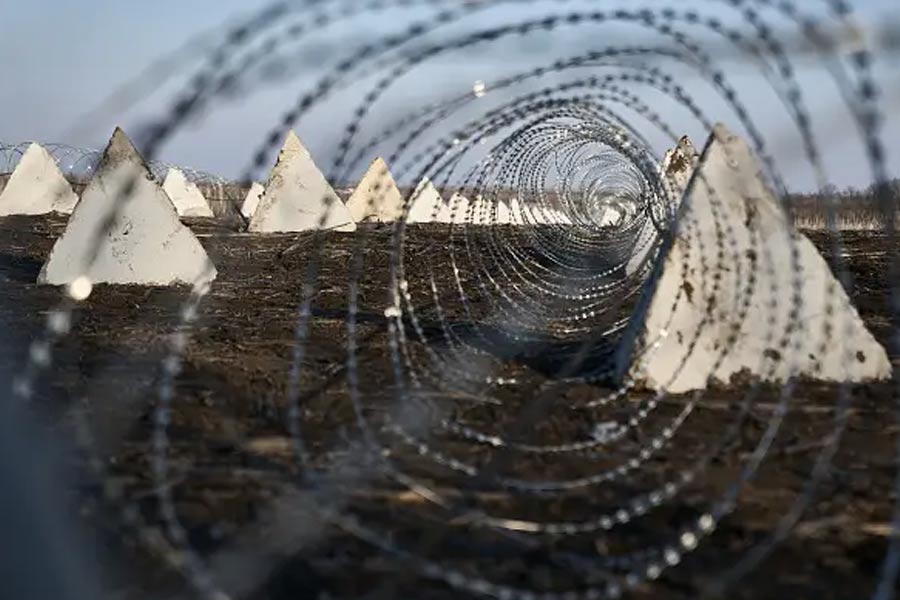 ড্রাগনের দাঁত হল পিরামিডের মতো দেখতে কংক্রিটের তৈরি ট্যাঙ্করোধী শক্ত চাঁই। শত্রুপক্ষের সাঁজোয়া গাড়ি রুখতে কাঁটাতারের পাশাপাশি, এগুলিও মাটিতে সারিবদ্ধ ভাবে বসানো হয়।