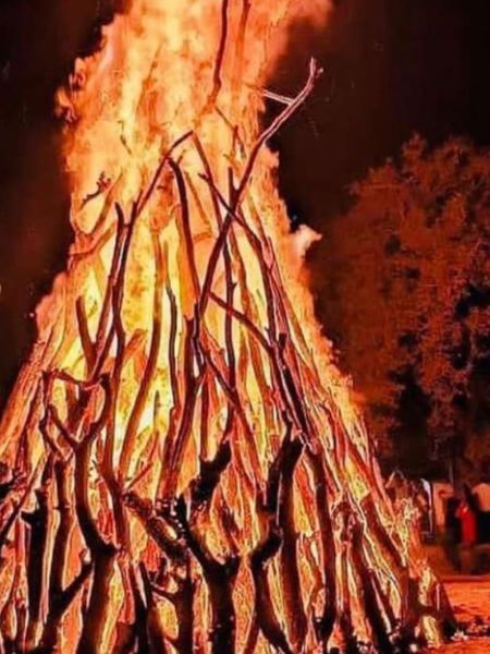 Ashes of Holika Dahan remove Vaastu defects do these remedies on Holi 2024 dgtl