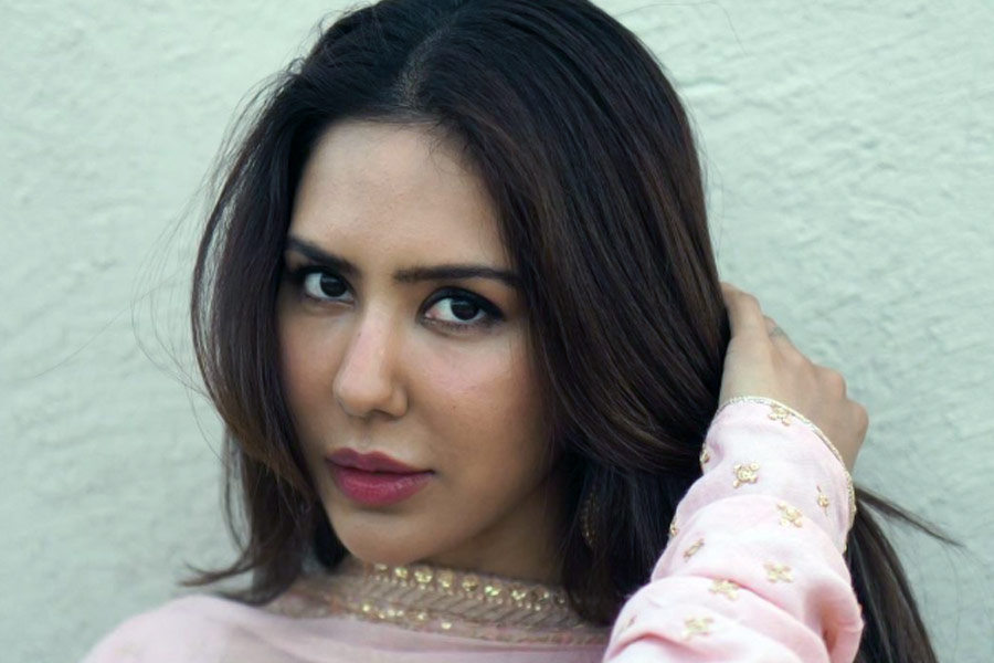 পঞ্জাবি ছবির পাশাপাশি তামিল এবং তেলুগু ছবিতে অভিনয় করেছেন সোনম। হিন্দি ছবিতেও দেখা গিয়েছে তাঁকে। তবে একটি নাচের দৃশ্যে। হিন্দি ছবিতে অভিনয় করতে চান না, তা একটি সাক্ষাৎকারে জানিয়েছিলেন তিনি।