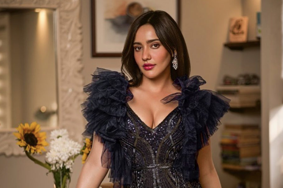 ২০২৩ সালে ‘জোগিরা সা রা রা রা’ ছবিতে নওয়াজউদ্দিন সিদ্দিকির বিপরীতে অভিনয় করতে দেখা যায় নেহাকে। ২০২৩ সালের পর থেকে আর বড় পর্দায় নেহার অভিনয় দেখা যায়নি।