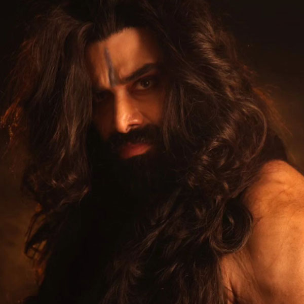 বড় পর্দাতেই অভিনয়ে হাতেখড়ি। হৃতিক রোশন, ঐশ্বর্যা রাই বচ্চন, শাহরুখ খান, সলমন খান, অক্ষয় কুমারের মতো বলি তারকাদের সঙ্গে অভিনয়ের সুযোগ পেয়েছেন। প্রায় দু’দশকের মধ্যে বলিপাড়ার খ্যাতনামী খলনায়কদের তালিকায় প্রথম সারিতে নাম লিখিয়ে ফেলেছেন নিকিতিন ধীর।